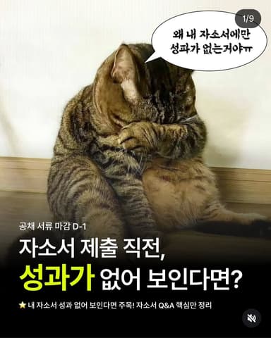 자소서 제출 직전 성과가 없어 보인다면