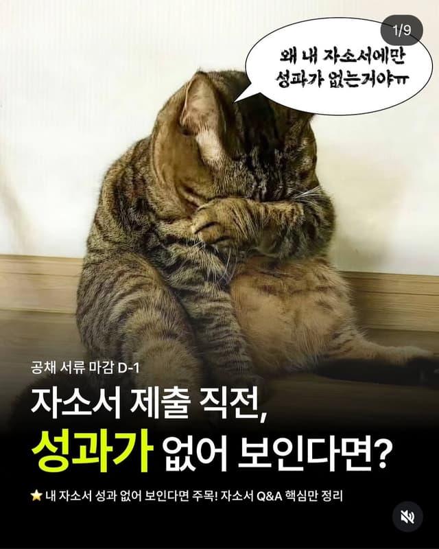 자소서 제출 직전 성과가 없어 보인다면