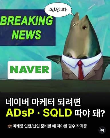 네이버 마케터 ADsP·SQLD 따야 돼?