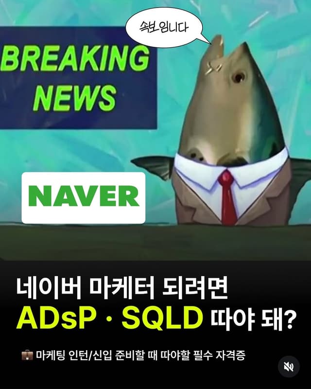 네이버 마케터 ADsP·SQLD 따야 돼?